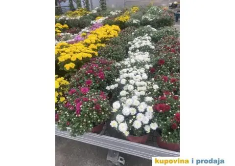 Uredjenje dvorista - 10/15