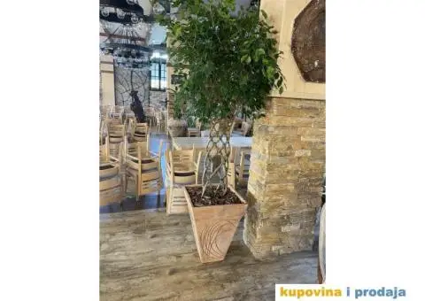 Uredjenje dvorista - 13/15