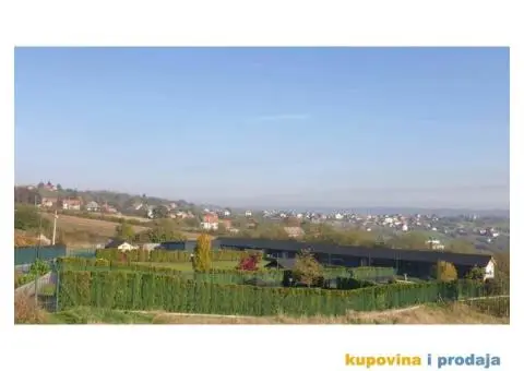 Obuka pasa svih rasa. Skola pasa Callibra sa 30 godina iskustva u radu i obuc - 1/5