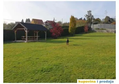 Obuka pasa svih rasa. Skola pasa Callibra sa 30 godina iskustva u radu i obuc - 5/5