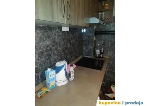 Izdajem stan za devojku/tražim cimerku - 8/13