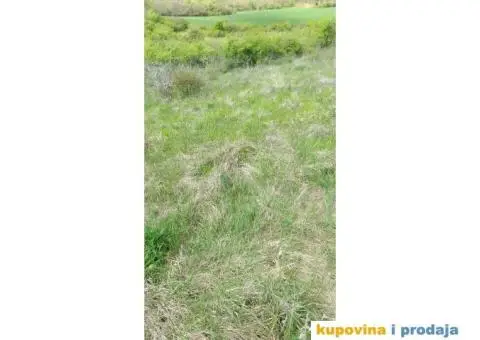 Prodaja njive u Svilošu - 1/3