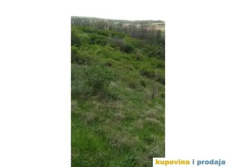 Prodaja njive u Svilošu - 3/3