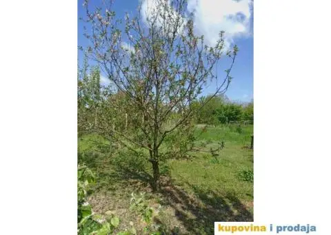 Vikendica na Fruškoj gori - 5/8