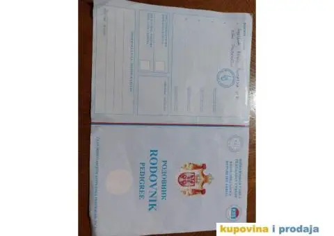 Labrador AS traži ženku - 7/12