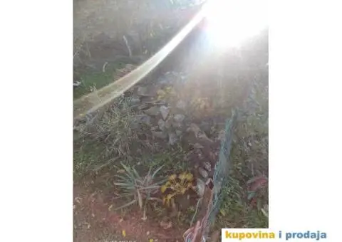 Vikendica na prodaju - 11/14