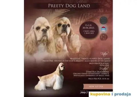 Na prodaju  stenci Americki koker spanijel - 1/4