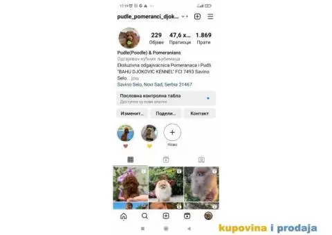 Pomeranci vrhunskog kvaliteta - 3/5