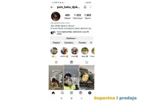 Pomeranci vrhunskog kvaliteta - 5/5