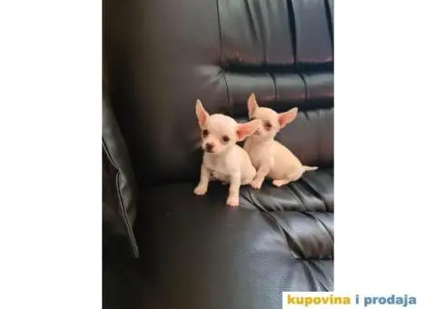 Mini CIVAVE spremne za preuzimanje - 1/10