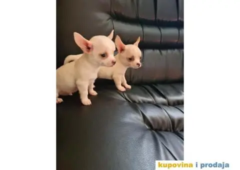 Mini CIVAVE spremne za preuzimanje - 2/10