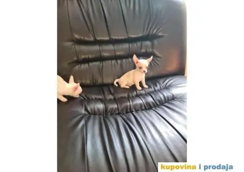 Mini CIVAVE spremne za preuzimanje - 4/10