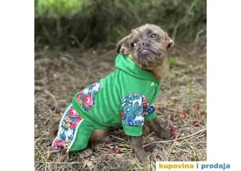 Na prodaju stene GRIFONA egzotic boje - 7/10