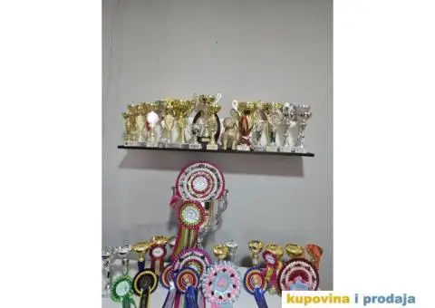 Mops PRELEPI štenci - 7/7