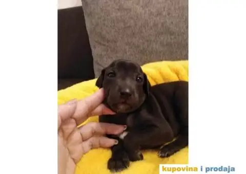 MALI ITALIJANSKI HRTOVI rezervacija - 4/13