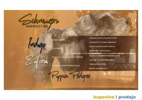 Patuljasti Biber-So Snaucer - 2/14