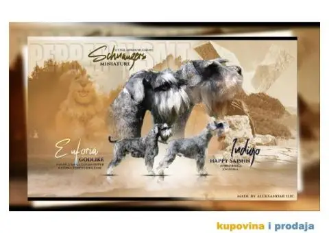 Patuljasti Biber-So Snaucer - 3/14