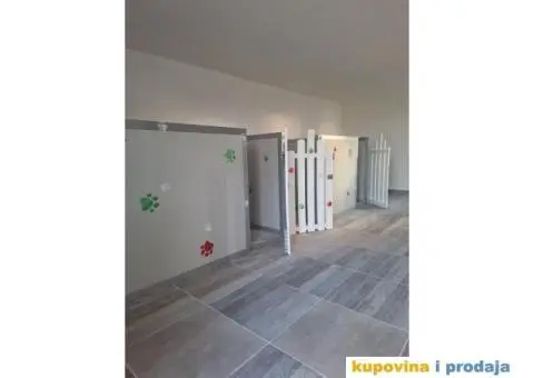 pansion za pse Maxima lux Beograd Umka - 1/3