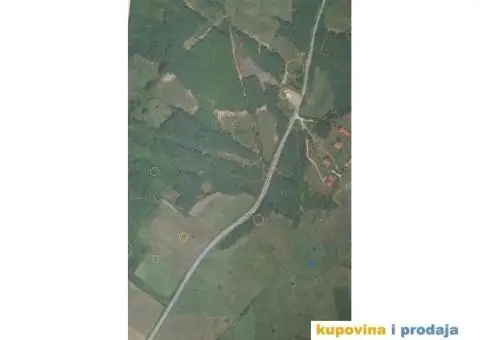 Prodajem zemljiste sa sumom 10 hektara