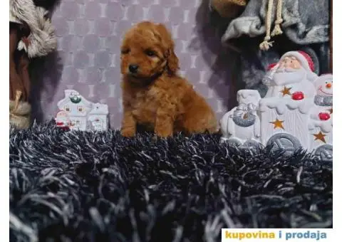 U ponudi toy PUDLE oba pola - 6/6