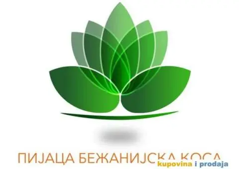 Pijaci Bezanijska kosa potreban čuvar