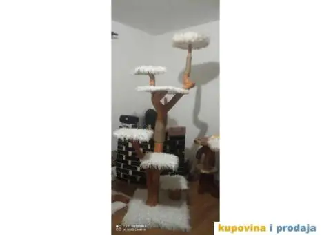 Grebalice - penjalice - 6/9