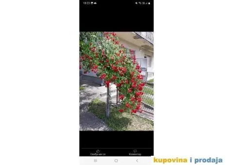 Prodajem kucu u Belanovici - 1/6