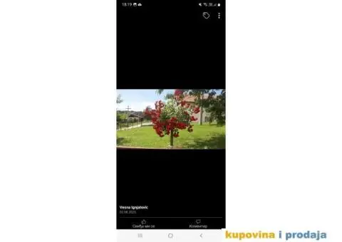 Prodajem kucu u Belanovici - 6/6