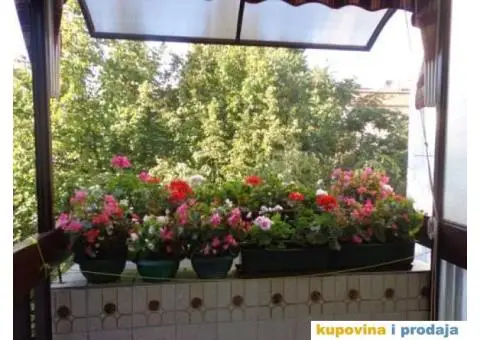 Dorcol-Srce Dorćola- izdavanje apartmana - 6/6