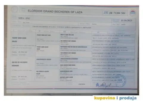 Shiba Inu štenci - 9/9