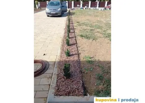 Odrzavanje, uredjenje dvorista i sugestije - 1/5