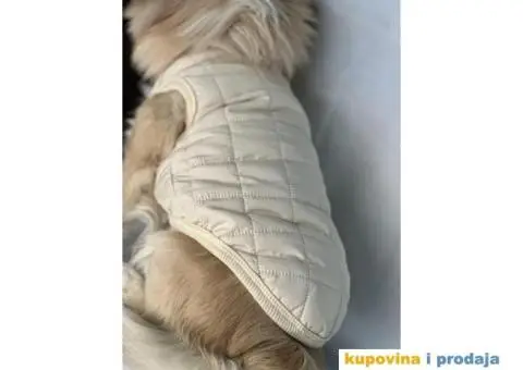 oprema i odeca za pse - 12/15