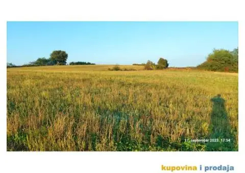 Prodajem plac50 ari, srce Sumadije Arandjelovac,Misaca - 3/3
