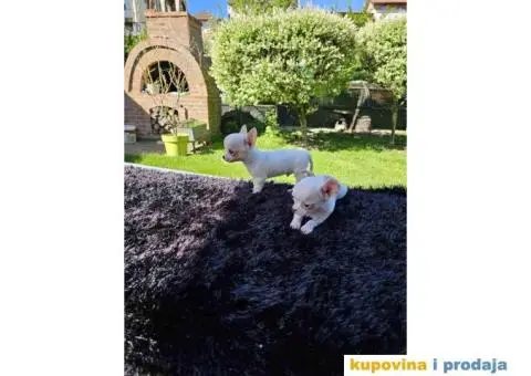 Mikro civave slobodne za preuzimanje - 7/11