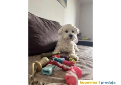 Maltezer za parenje - 3/5