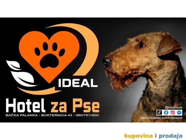 Hotel za pse Ideal - 1