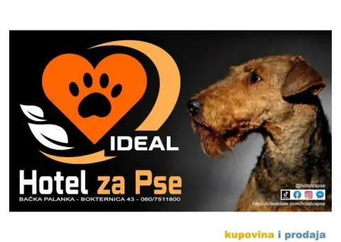 Hotel za pse Ideal