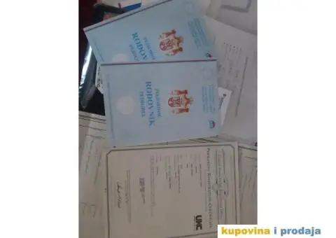 Beli švajcarski ovčar - 8/8