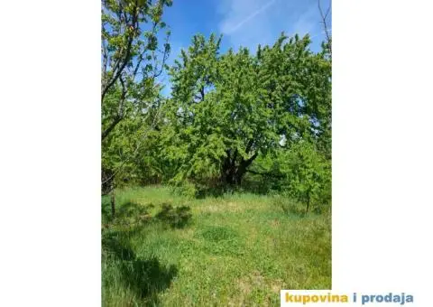 Prodajem vikendicu, Čortanovci - 2/11