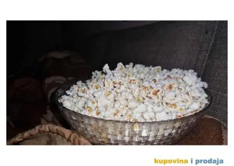 Prodaja kukuruza kokicara - 2/3