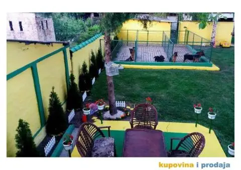 Nemački ovčar štenci - 4/6