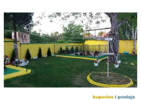 Nemački ovčar štenci - 5/6