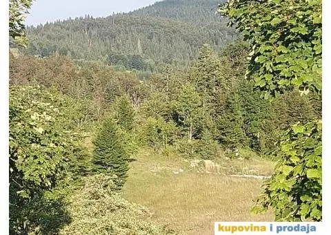 Plac na Tari naselje Sekulić na top lokaciji - 1/4