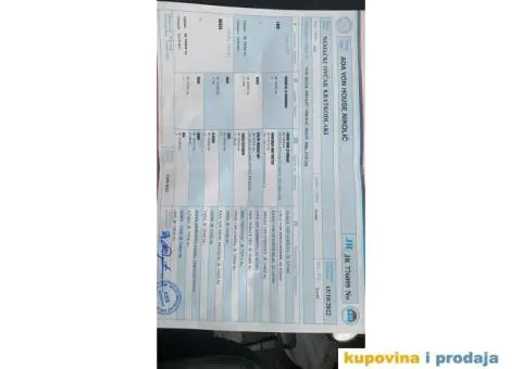 Stenci crnog nemackog ovcara na prodaju - 5/5