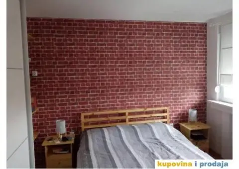 Molerski radovi-lepljenje tapeta-Beograd - 2/5