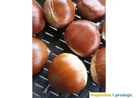 Rezervacije u toku za jesenju sadnju voćnih sadnica - 7/15