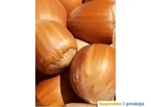 Rezervacije u toku za jesenju sadnju voćnih sadnica - 11/15