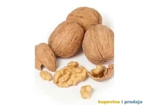 Rezervacije u toku za jesenju sadnju voćnih sadnica - 13/15