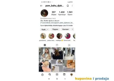 Jedinstveni Cockapoo - 3/5