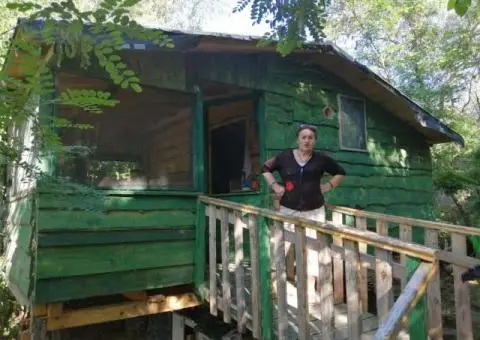 Prodajem vikendicu na obali Dunava,u Beogradu - 2/3